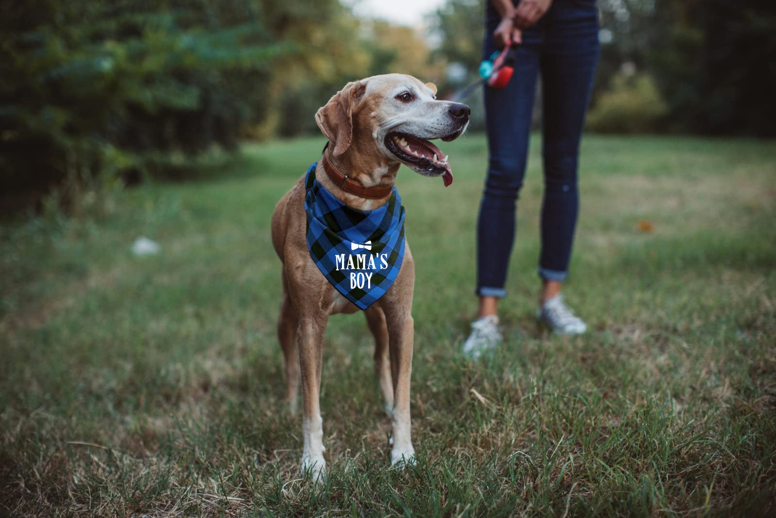PTZIZI Funny Blue Plaid Cotton Pet Dog Triangle Bandana Bib - Mama's Boy Gender Reveal Photo Prop, Pet Scarf Accessory for Dogs - Perfect for Pet Lovers Gifts & Gender Announcement Photos