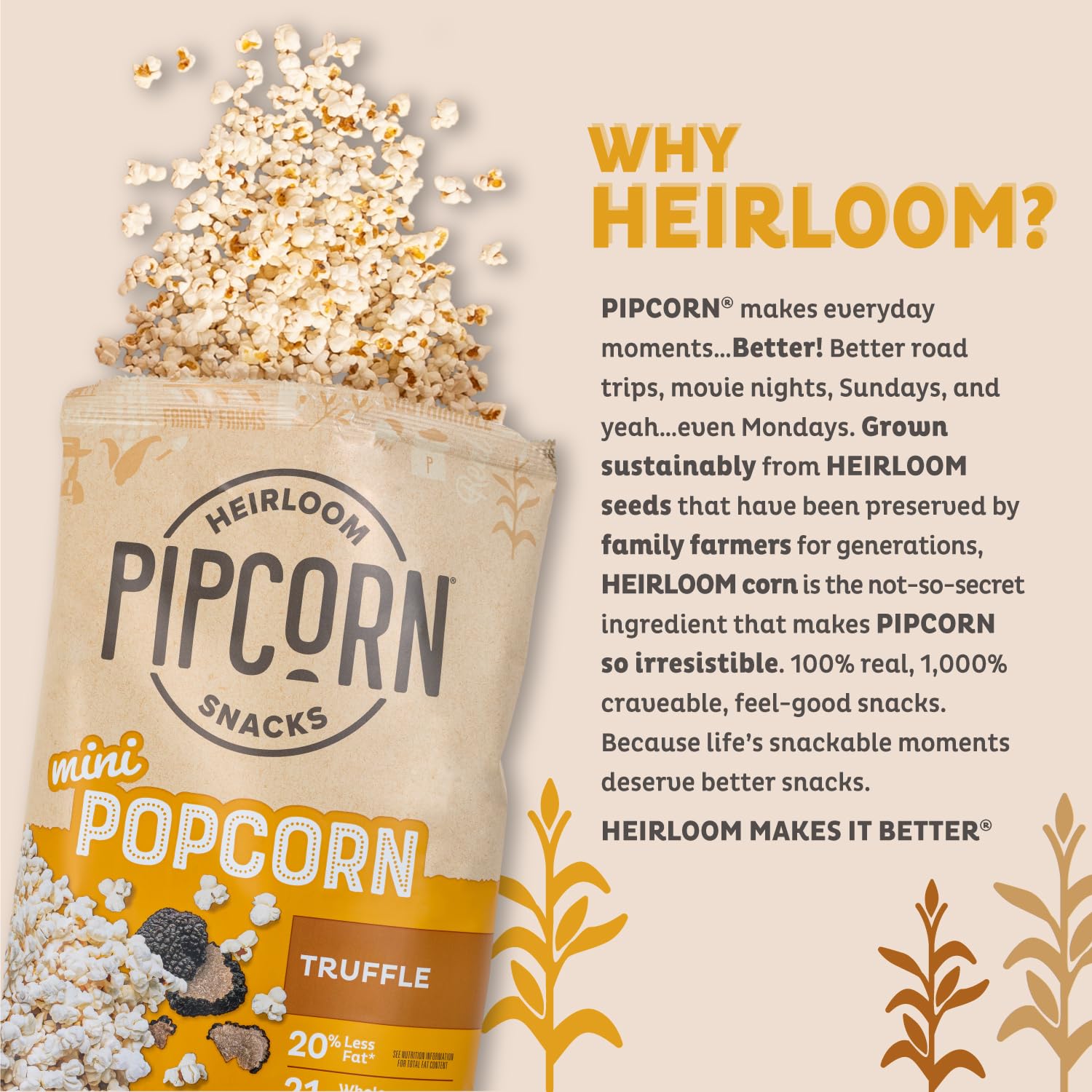 Pipcorn Heirloom Truffle Mini Popcorn - 4.5oz 6 Pack | Gluten Free Healthy Snacks, Non-GMO Heirloom Corn, Black Truffle Flavor | Perfect for Movie Nights, Office Snacks & Party Treats