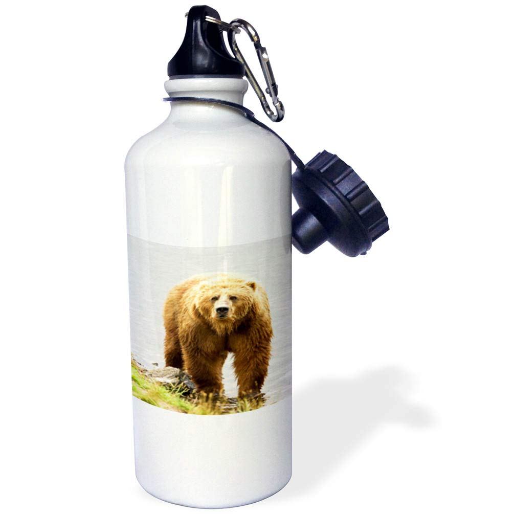 3D Rose Big Brown Bear Sports Water Bottle - 21oz Insulated Stainless Steel Water Bottle for Gym, Hiking & Outdoor Activities - White BPA-Free Leak Proof Design