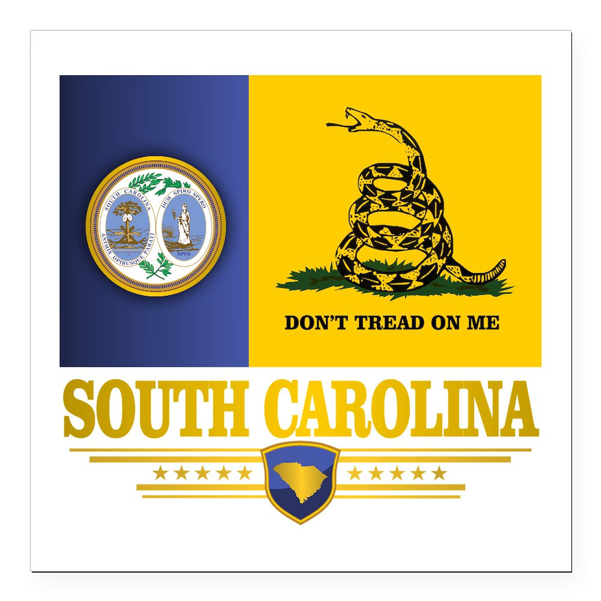 South Carolina DTOM 3x3 Inch Square Car Magnet - Strong Magnetic Bumper Sticker for Cars, Trucks & Vehicles - Show State Pride on Highways & Parking Lots