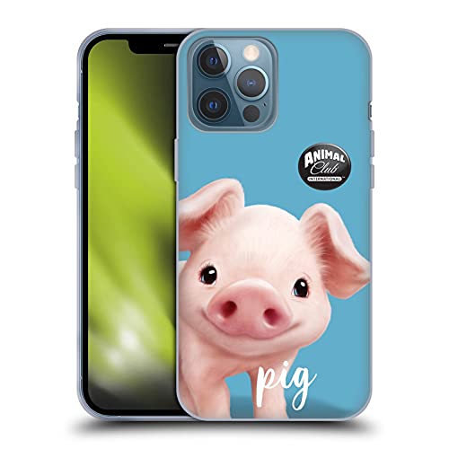Pig