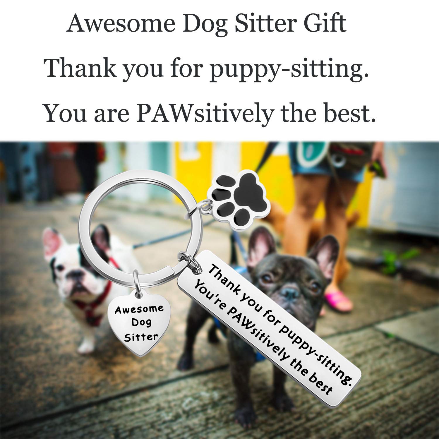 Lywjyb Birdgot Dog Walker Thank You Gift - Cute Dog Sitter Keychain for Pet Lovers - Perfect for Dog Walking, Pet Sitting Appreciation & Veterinary Staff Gifts