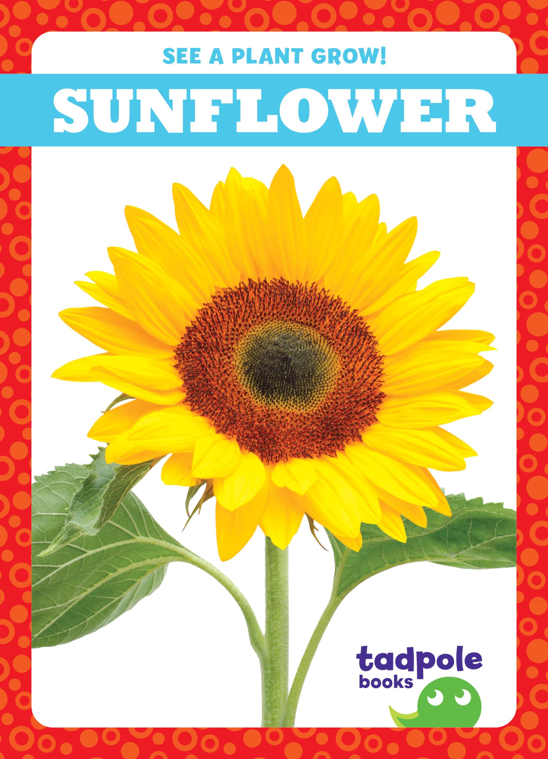 Sunflower Growth Kit for Kids - Tadpole Books: See a Plant Grow! Educational STEM Gardening Activity for Home & Classroom Learning