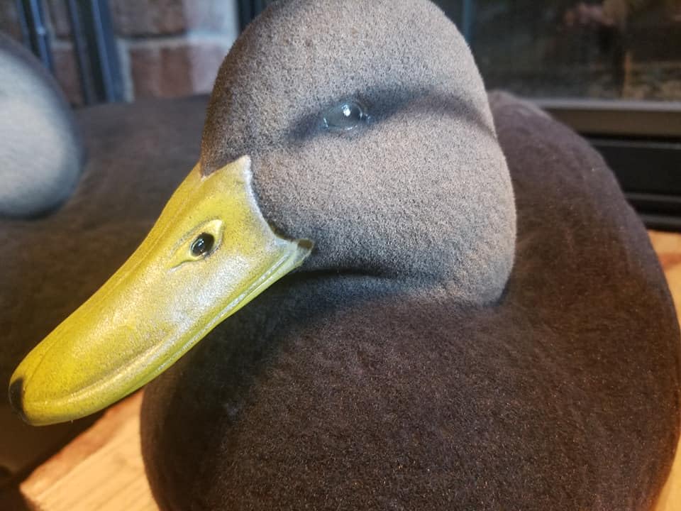 Premium Black Duck Full Body Flocking Kit for Lifelike Hunting Decoys – Perfect for Waterfowl Hunting & Outdoor Enthusiasts