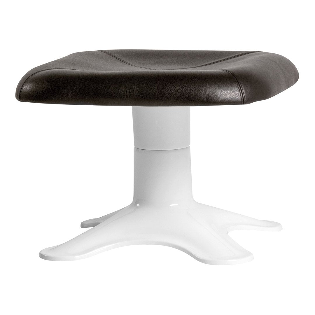 Dark Brown 40674