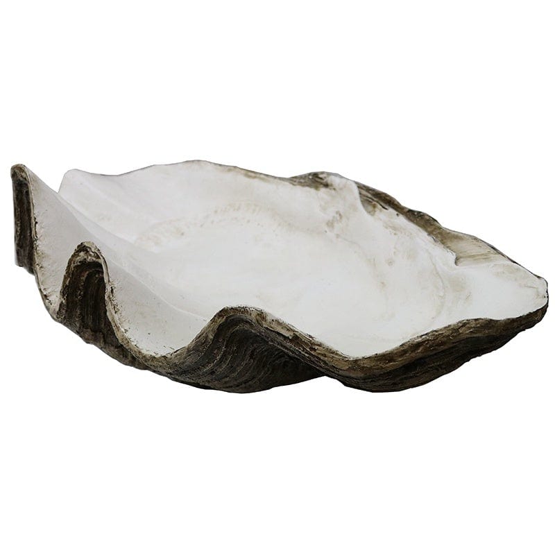 Natural Giant Clam Shell for Home Decor | Beach-Themed Centerpiece, Wedding Decorations & Coastal Interior Design
