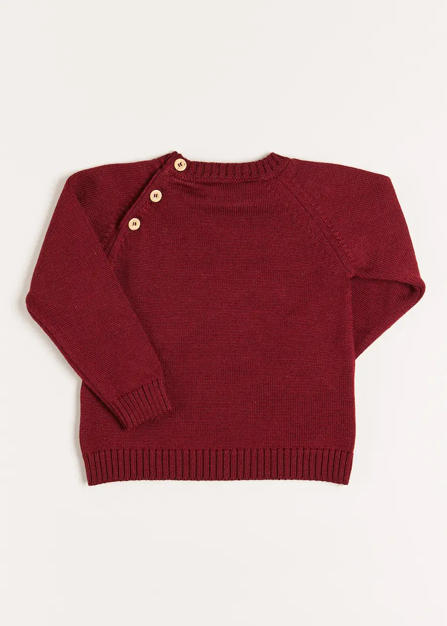 Burgundy Dog Intarsia Knit Sweater for Kids - Cozy Winter Pullover for Boys & Girls (12 Months to 10 Years) | Perfect for Christmas Photos, Family Outings & Cold Weather Playdates