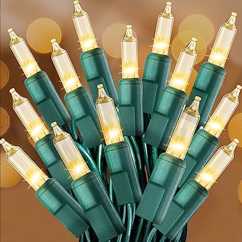 Warm White Green Wire