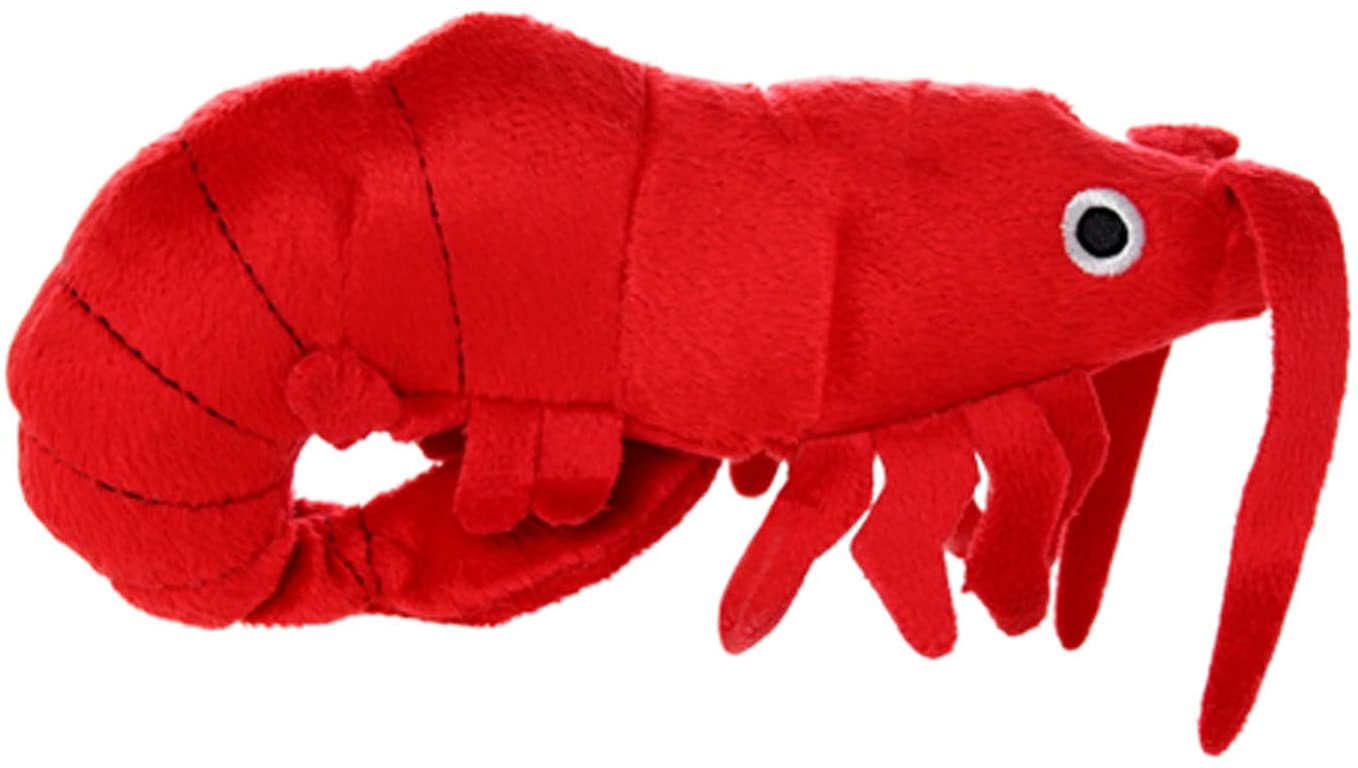 **Prawn Jr Dog Toy - Durable Chew Toy for Small & Medium Dogs - Fun Interactive Play for Puppies & Adult Dogs - Perfect for Indoor & Outdoor Fetch Games**