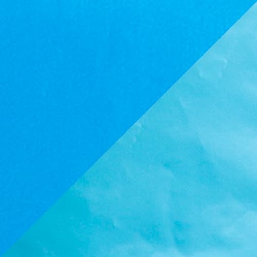 Blue Bondi Beach