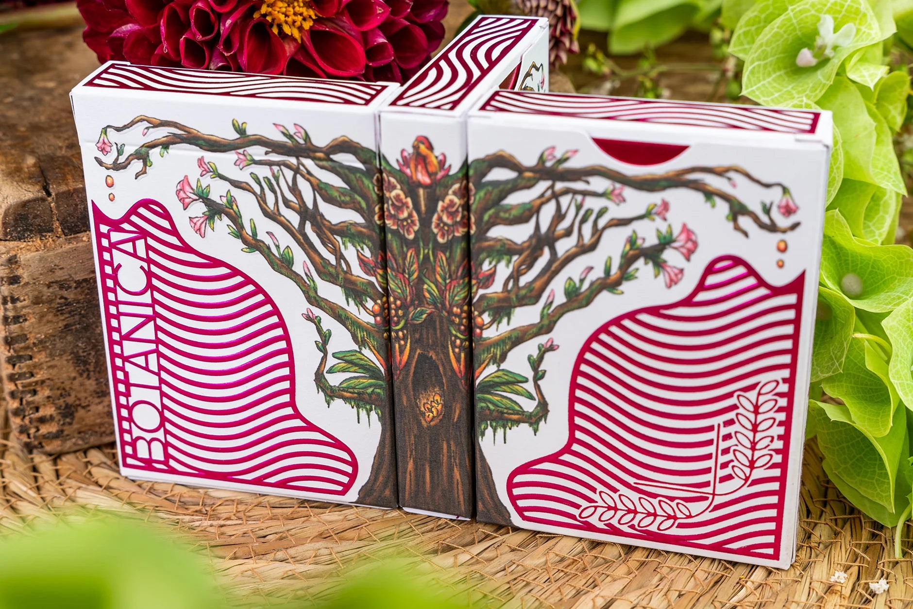 Botanica Playing Cards - Premium Floral Design Deck for Poker, Magic Tricks & Card Games | Perfect for Gifts, Collectors & Game Nights