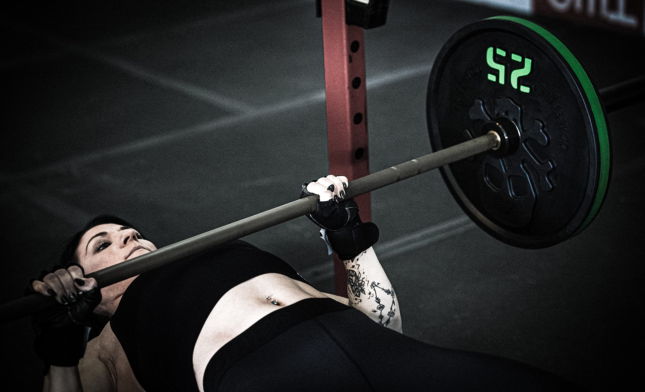 Tribe WOD Bumper Plates - Premium Rubber & Steel Olympic Weight Plates for CrossFit, Powerlifting & Home Gym - Compatible with Rep Fitness & Most Olympic Bars - Perfect for Strength Training & Functional Fitness Workouts