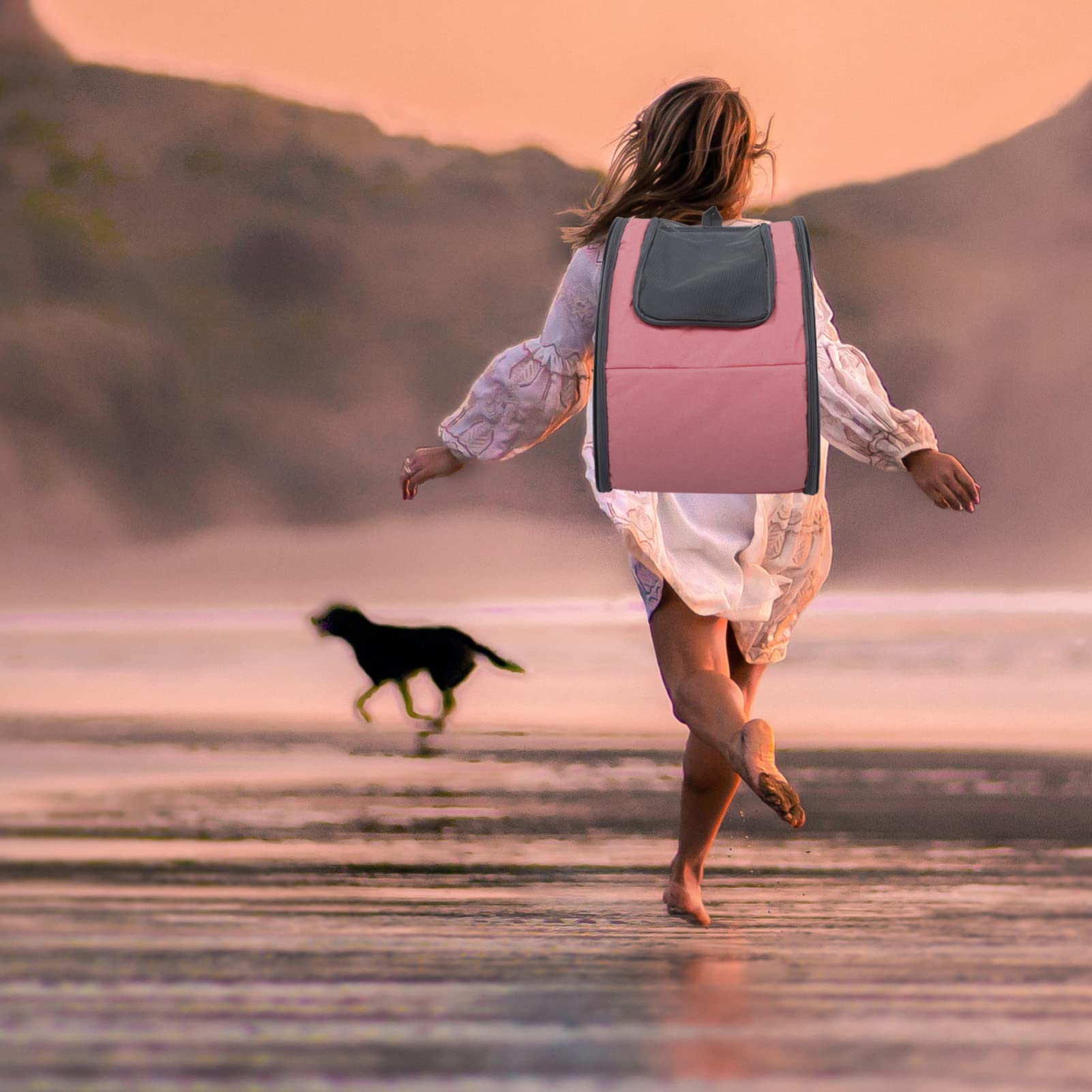**BESPORTBLE Foldable Cat & Dog Backpack Carrier - Ventilated Pet Travel Backpack for Hiking, Airplane, and Outdoor Adventures**