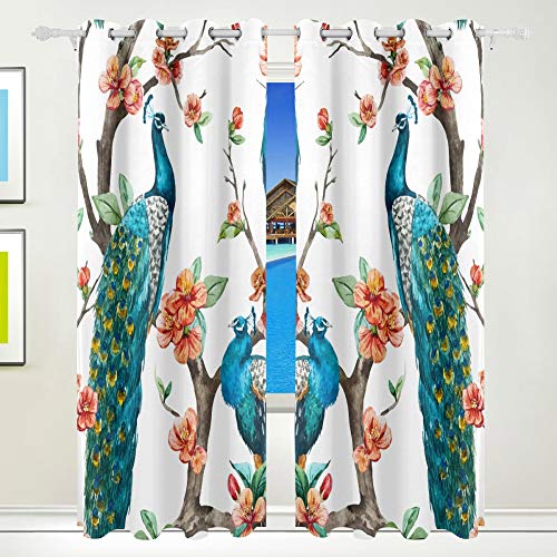 Peacock 012
