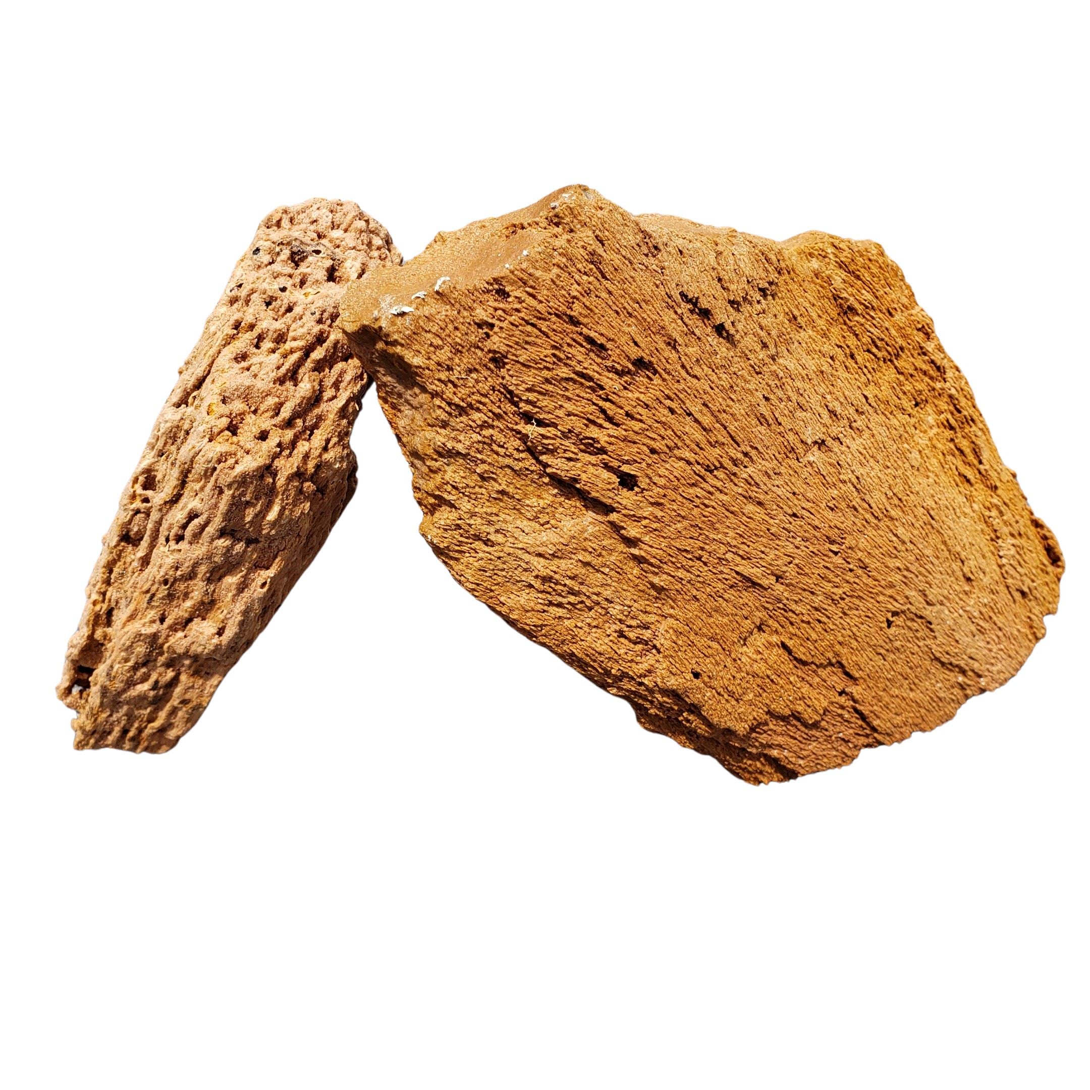 Natural Burma Petrified Stone for Aquarium & Terrarium - 44 Lbs Box of Small Decorative Rocks - Perfect for Fish Tanks, Reptile Habitats & Zen Garden Landscaping