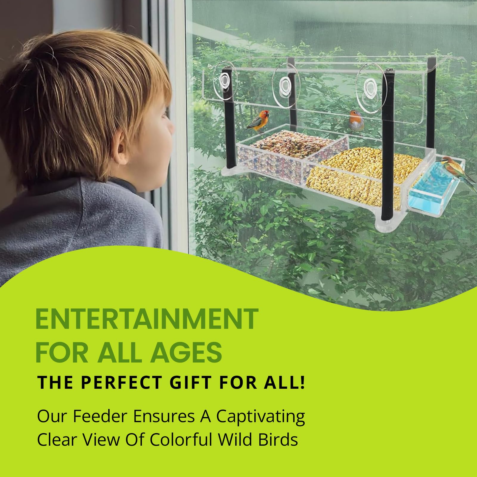 Nature Gear Clear Acrylic Window Bird Feeder with Sliding Tray - Weather Resistant, Easy to Clean, Strong Suction Cups for Secure Mounting - Perfect for Bird Watching at Home, Office or Classroom