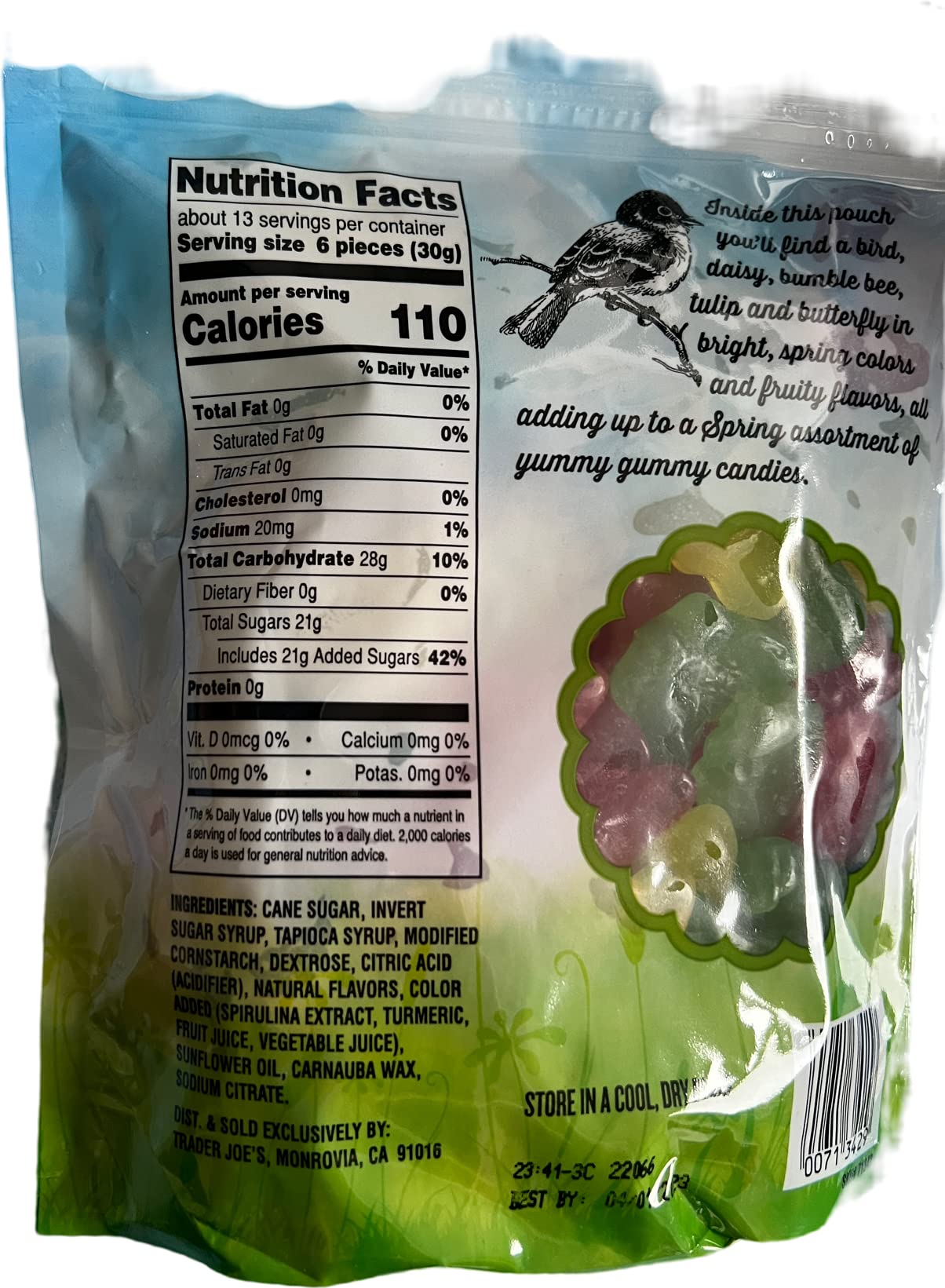 Joe's Spring Gummies - Soft & Chewy Candy, Assorted Fruit Flavors, Pack of 2 - Perfect for Parties, Snacking & On-the-Go Treats