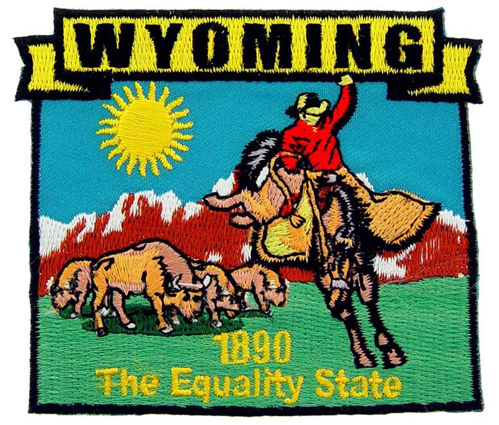 Wyoming State Map Embroidered Iron-On Patch - USA State Shape Sew-On Badge for Jackets, Backpacks & Hats - Perfect for Travel Gifts & Souvenirs