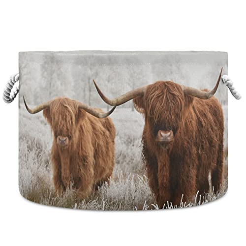 Large Woven Highland Cow Toy Storage Basket - Nursery Laundry Hamper for Kids Clothes, Books & Home Decor | Perfect for Playroom Organization & Baby Room Decor