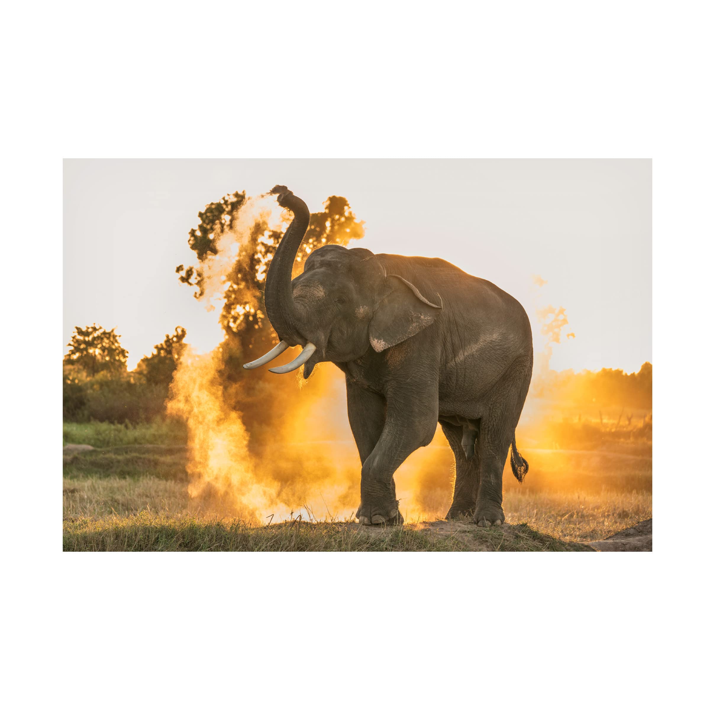 Trademark Fine Art 'Hot Day' Canvas Wall Art by The Jar – Vibrant Summer Décor for Living Room, Bedroom & Office