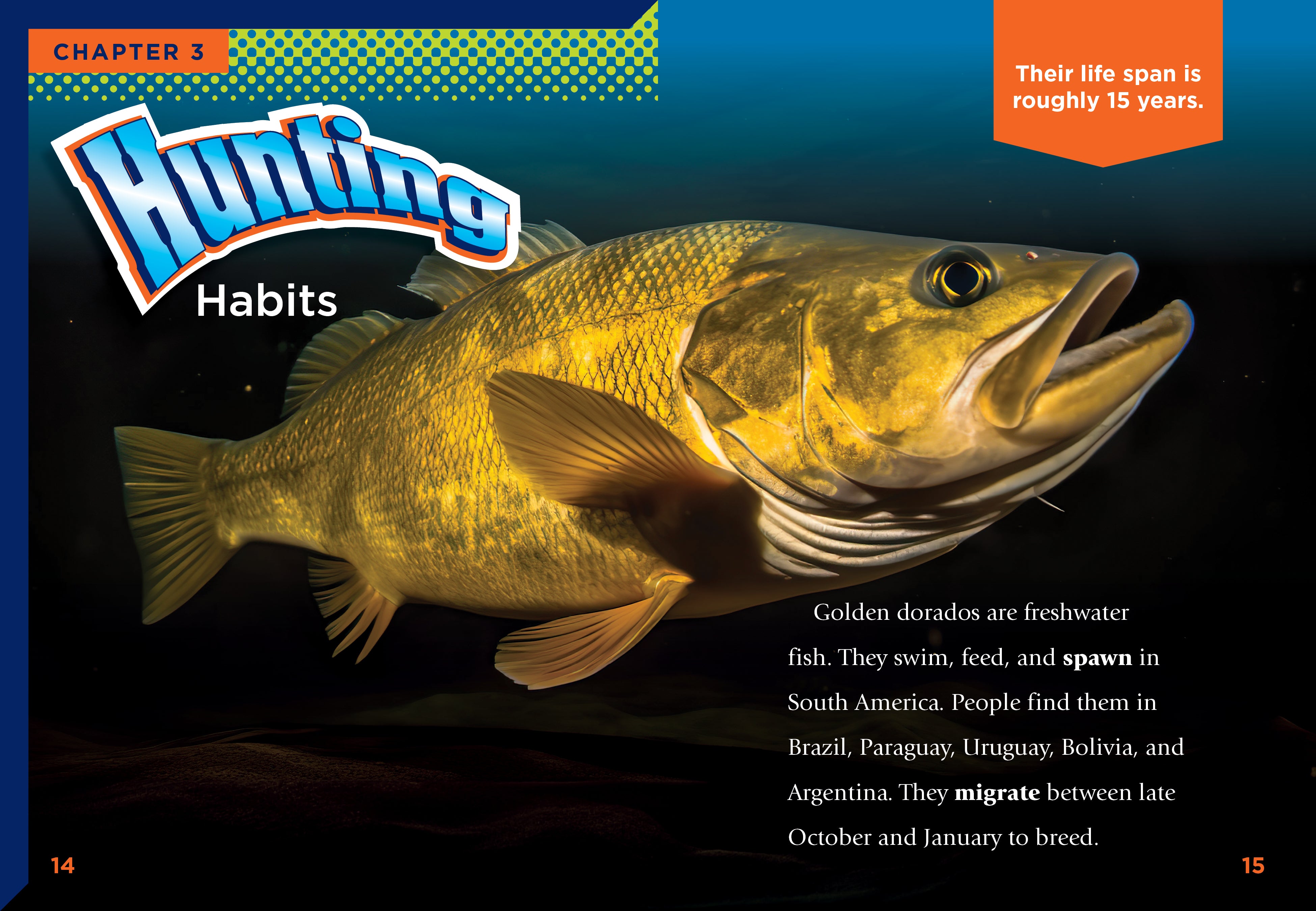 Golden Dorado Book 9781623109127 - Fishing Guide & Adventure Stories for Anglers | Perfect for Outdoor Enthusiasts & Travel Lovers