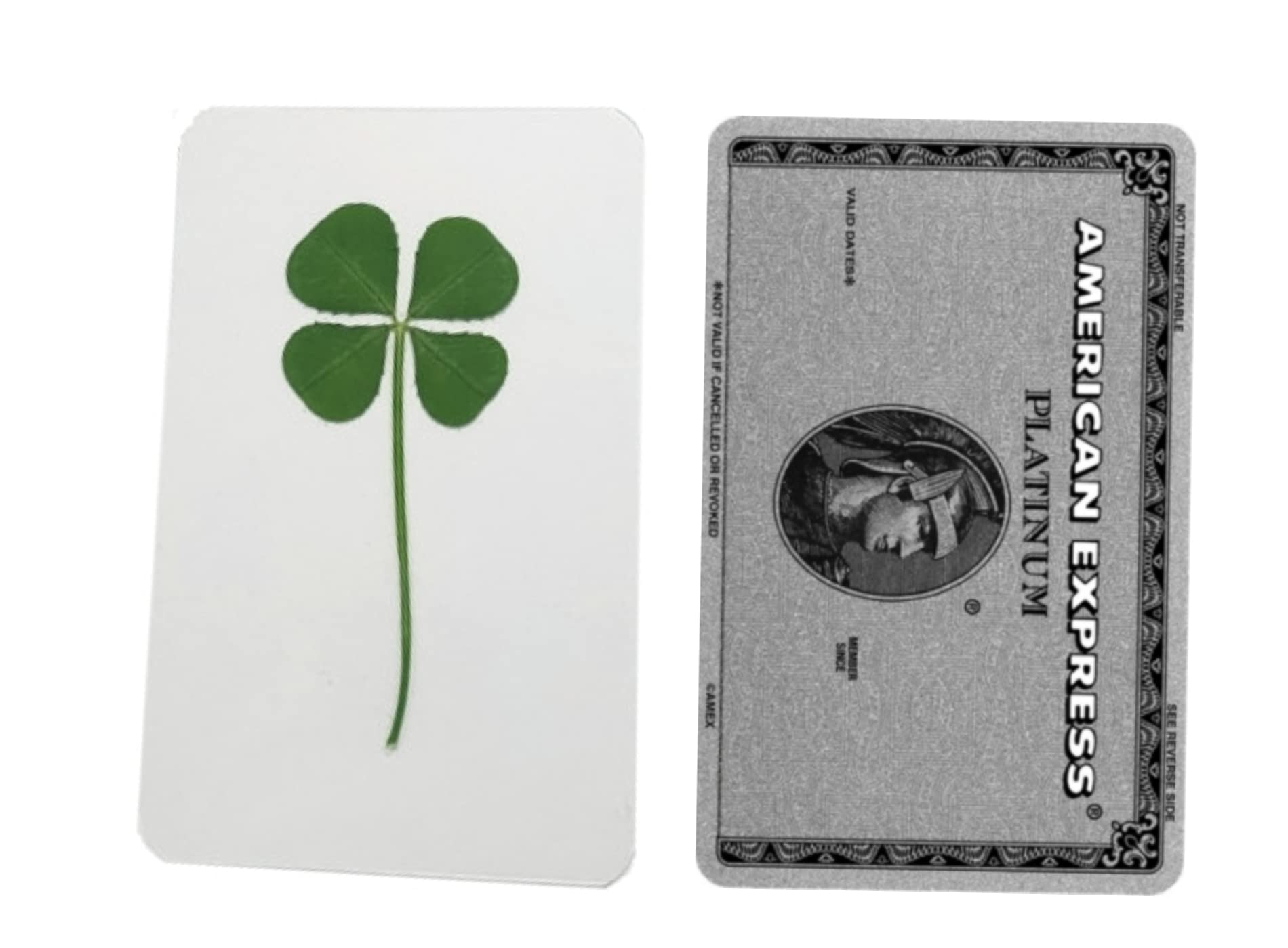 50 Pack Genuine Four-Leaf Clover Bookmarks - Lucky Charm Gift Set for Housewarming, Graduation & Good Fortune (Clear, Set of 50) | Perfect for Book Lovers, Party Favors & Good Luck Decor