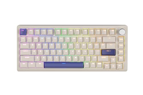 Grey-OEM-PBT-G-Peri-Shine-Through