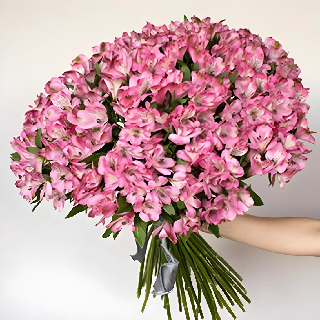 Alstroemeria Spiral Valentine's Day Flower Bouquet - Fresh Cut Peruvian Lily Arrangement for Romantic Gifts, Anniversaries & Weddings