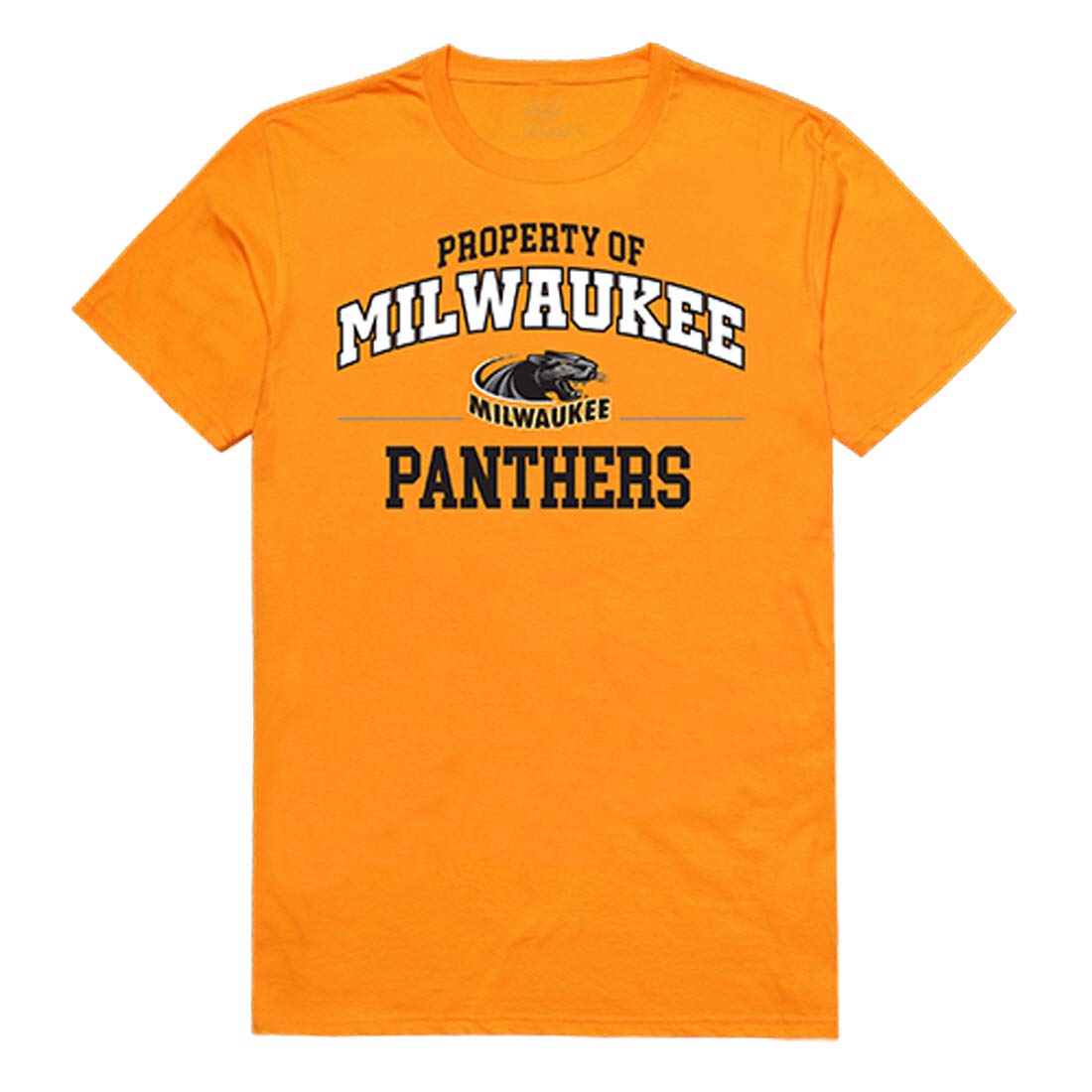 University of Wisconsin-Milwaukee Panthers College T-Shirt - Official UWM Fan Apparel for Game Day & Campus Life
