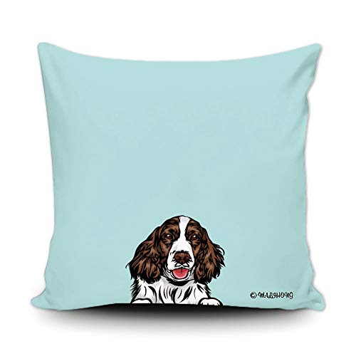 English Springer Spaniel-1-6