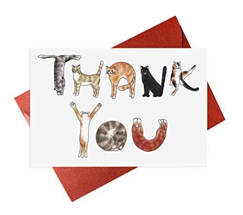 Cat Thank You Card