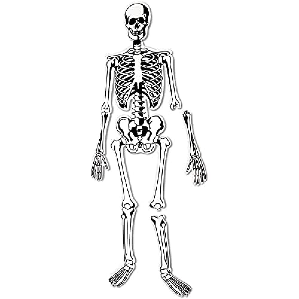Learning Resources Skeleton Floor Puzzle - 15-Piece Anatomy Puzzle for Kids Ages 3+, Homeschool STEM Activity, Educational Floor Toy for Classroom & Home Learning - Perfect for Science Lessons and Family Game Night