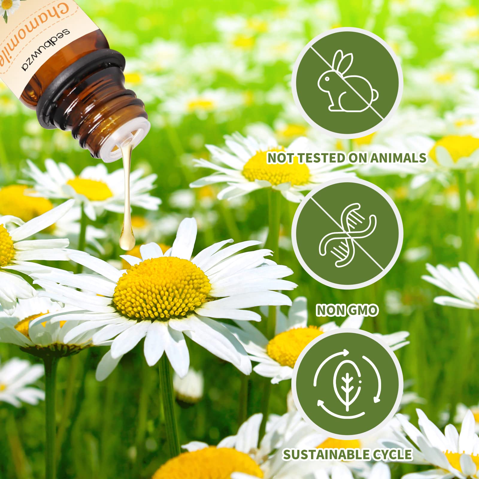 Sedbuwza Lavender Chamomile Essential Oil Set - 2 x 10ml Pure Aromatherapy Oils for Diffusers, Massage, Soap & Candle Making | Relaxing Scent for Stress Relief & Better Sleep