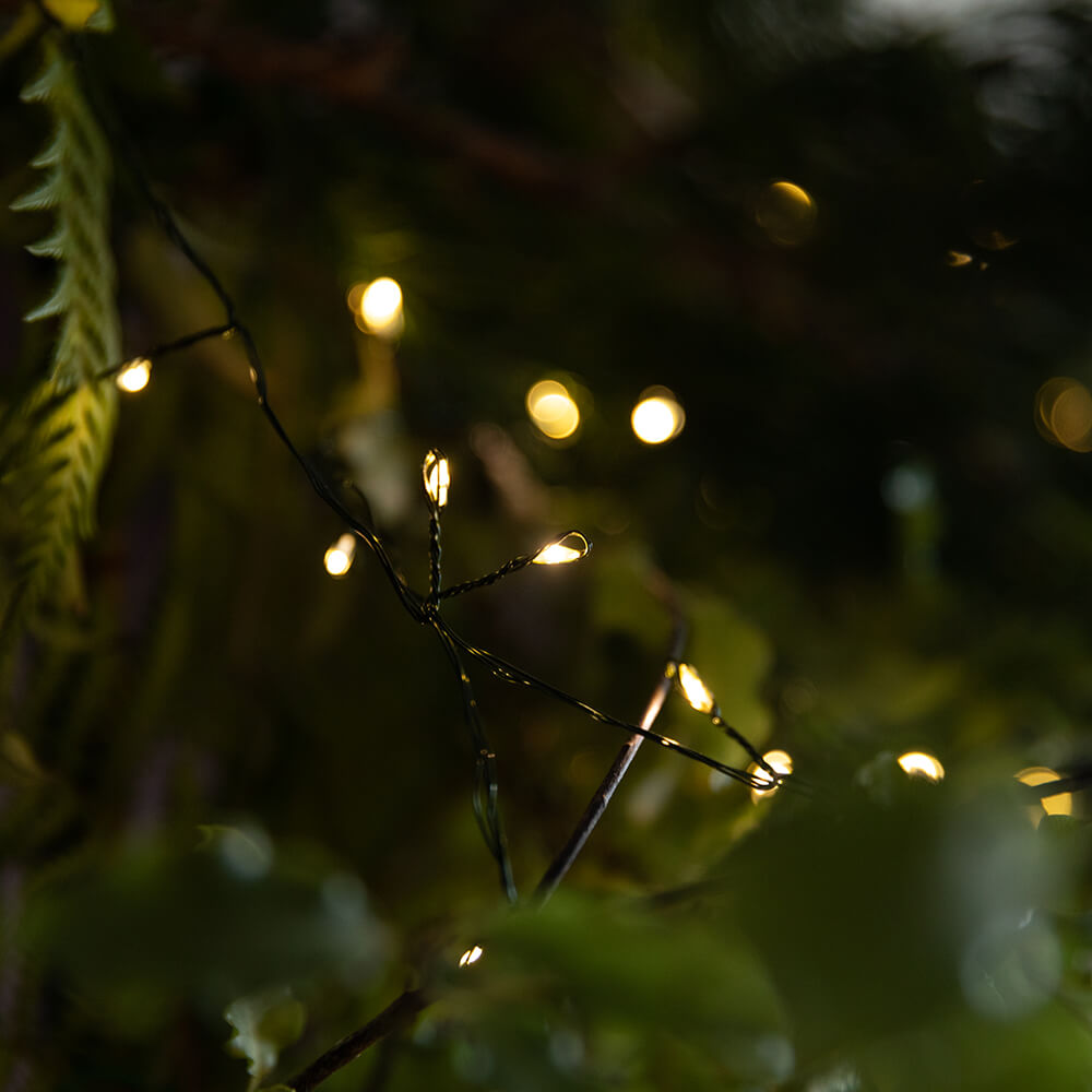 Green Wire LED Fairy Lights - 20ft Battery Operated String Lights for Bedroom, Wedding, Party & Outdoor Decor