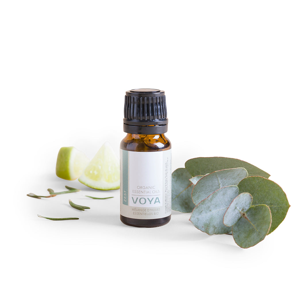 VOYA Zest Organic Eucalyptus & Lime Essential Oil for Aromatherapy, Massage & Relaxation - 100% Pure Natural Therapeutic Grade