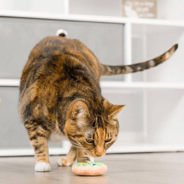 Huxley & Kent Lit Donut & Peppermint Candy Cat Toy - Interactive Play for Kittens, Fun Chew Toy for Indoor Cats, Perfect for Playtime and Training