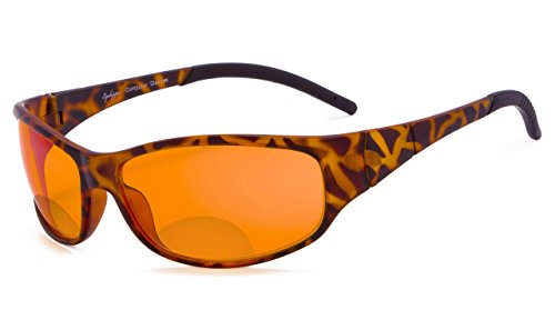 Bifocal Tortoise