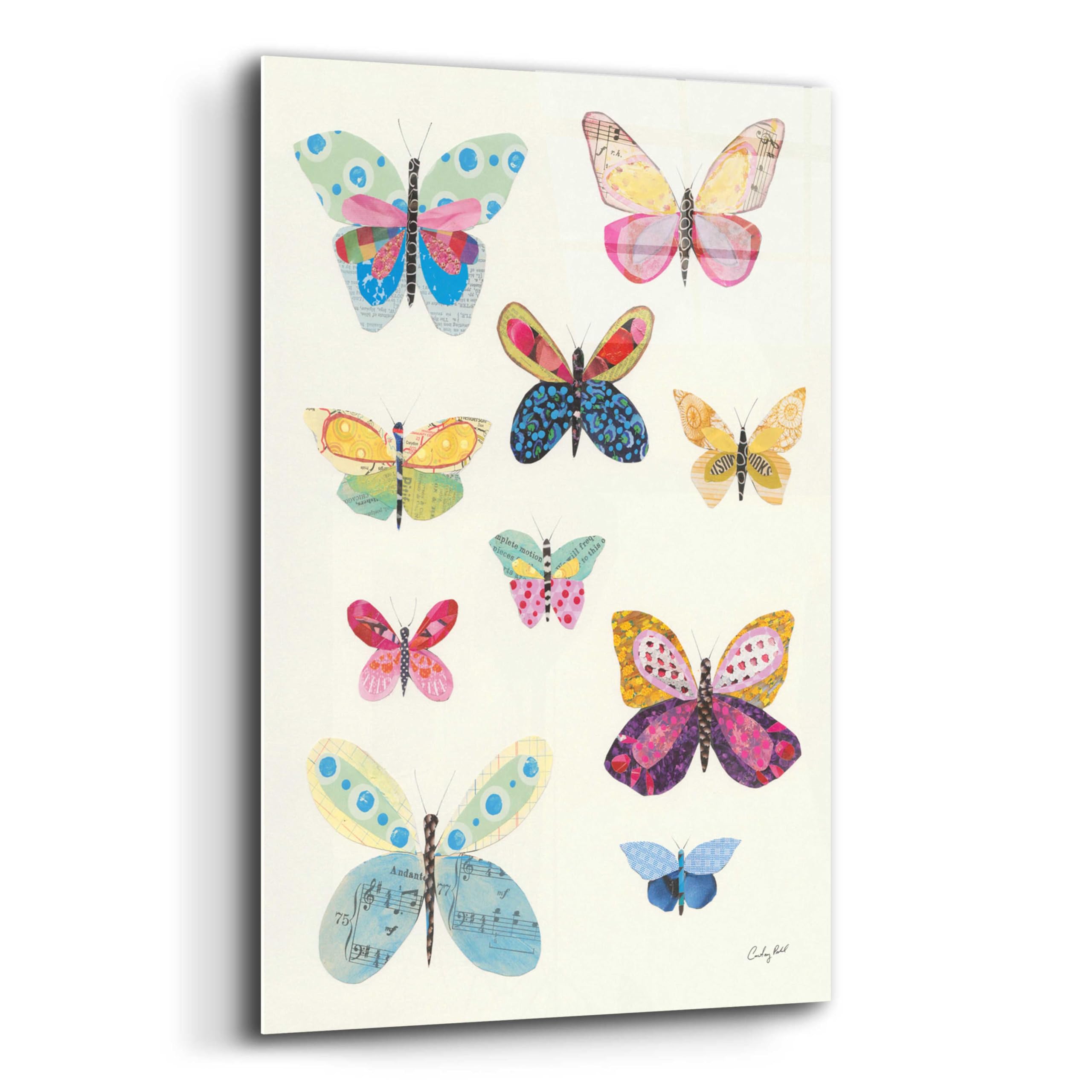 Courtney Prahl Butterfly Charts I - 16x24 Inch Acrylic Glass Wall Art Painting, Modern Abstract Home Decor for Living Room, Bedroom & Office