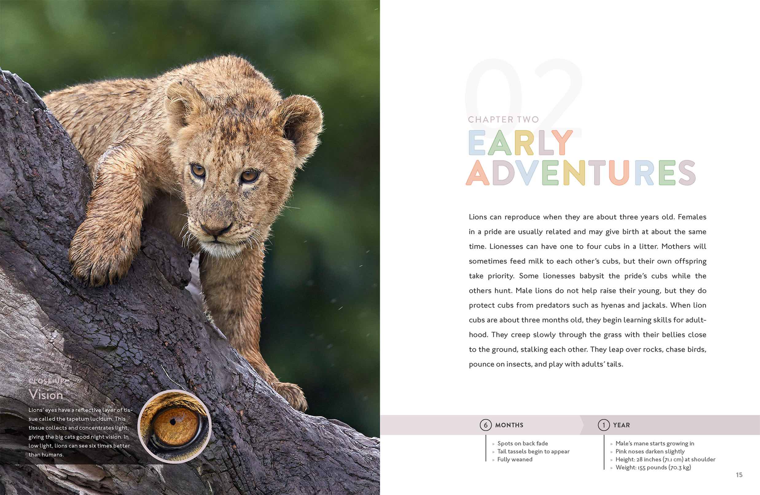 Lion Book 9781640263406 - Wildlife Animal Encyclopedia for Kids & Adults - Perfect for School Projects, Home Libraries & Animal Lovers