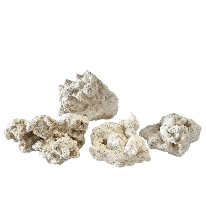Aqua Natural South Seas Base Rock Mixed Pack 10kg - Premium Live Rock for Saltwater Aquariums | Perfect for Reef Tanks, Marine Fish Habitats & Coral Growth