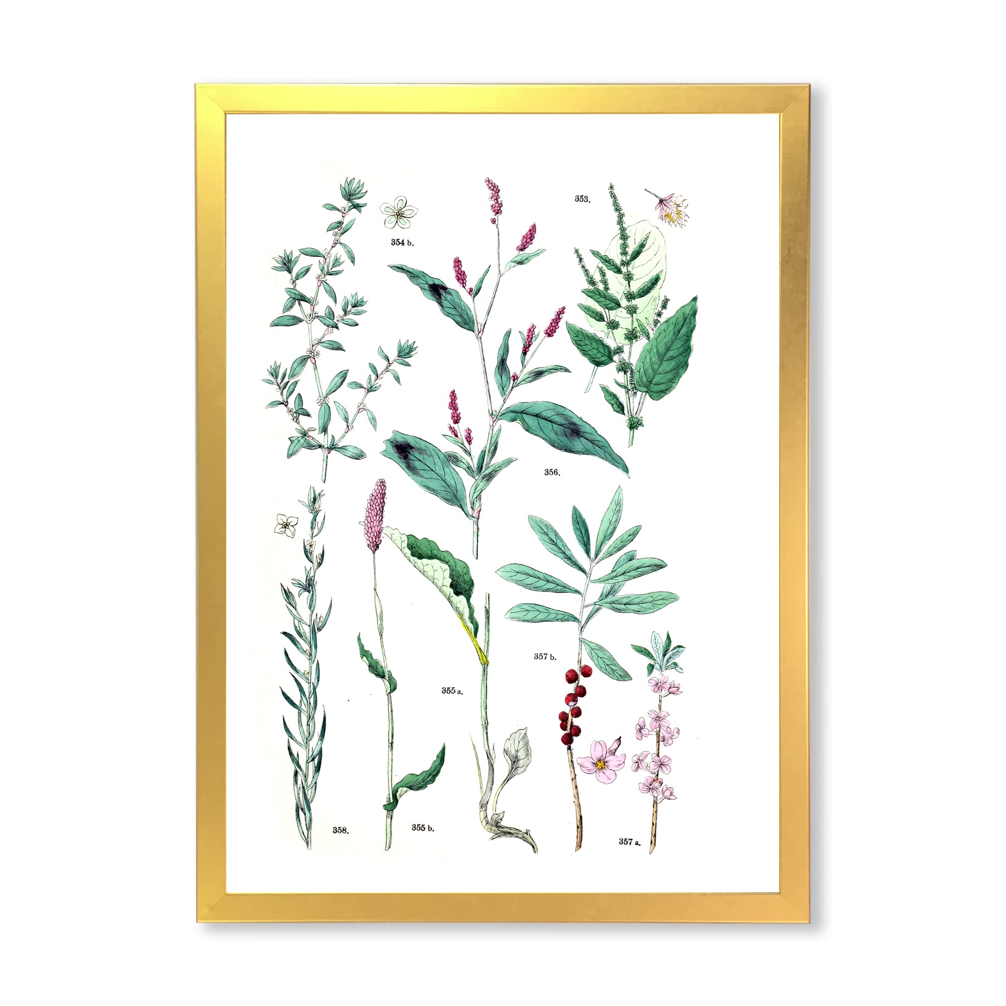 Vintage Botanical Wall Art - Traditional Framed Plant Prints for Home & Office Decor | Perfect for Living Room, Bedroom, Kitchen & Office Spaces
