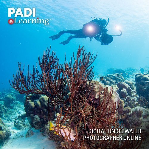 PADI Rescue Diver eLearning Course - Online Scuba Diving Certification with Digital Materials | Perfect for Aspiring Dive Professionals & Adventure Seekers