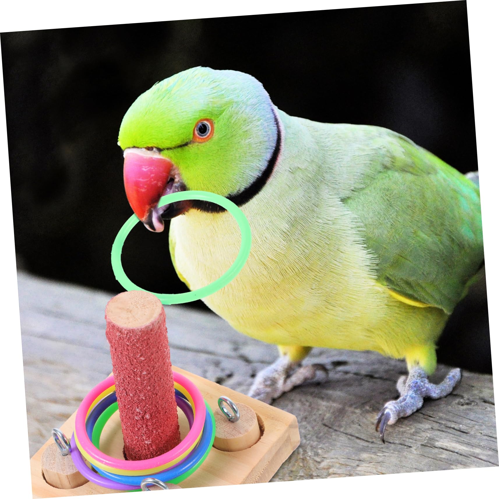 Mipcase Parrot Training Toy Set - Interactive Bird Intelligence Puzzle & Educational Toys for Parrots - Perfect for Training, Enrichment & Mental Stimulation of Pet Birds