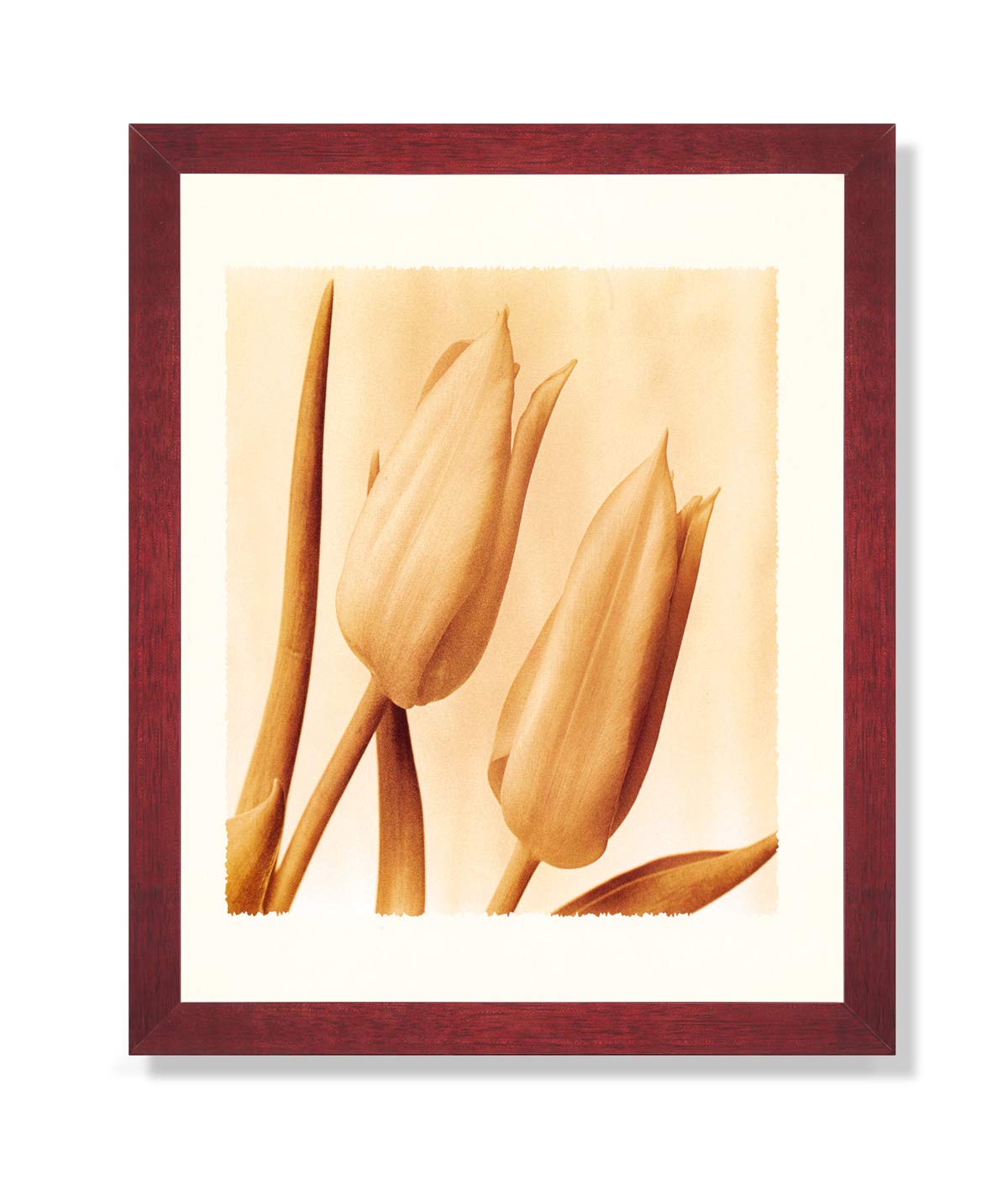 Tulips Black and White Photo Wall Art - Framed Floral Print for Home & Office Decor | Perfect for Living Room, Bedroom, or Office Spaces