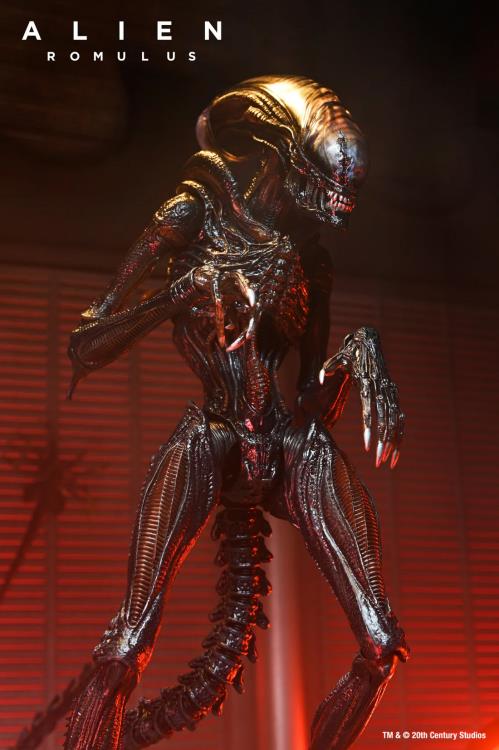 NECA Ultimate Scorched Alien Xenomorph Action Figure - Alien: Romulus Movie Collectible for Display & Gifts