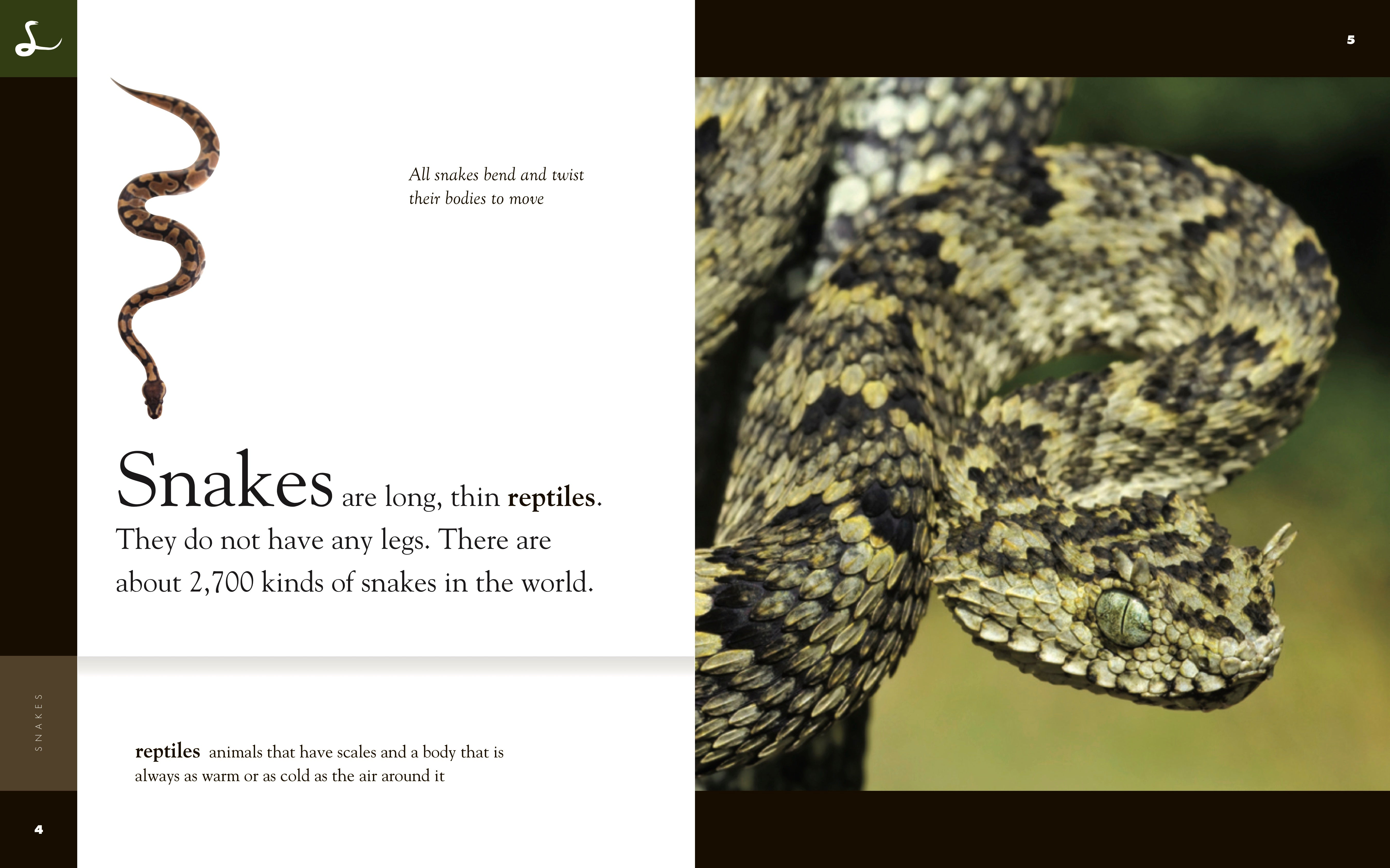 Amazing Animals (2014) - Snakes Documentary | Wildlife & Nature Exploration | Perfect for Animal Lovers & Science Education