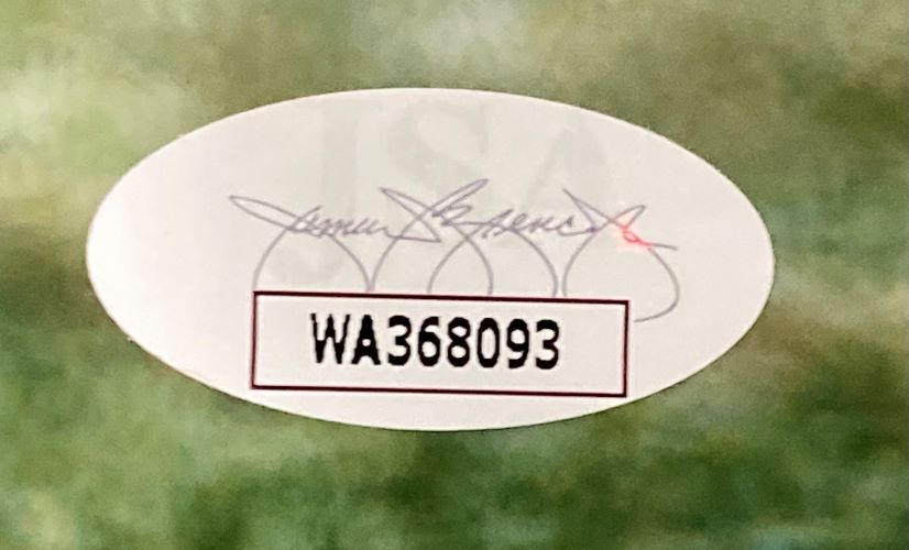 Lawrence Taylor Autographed 16x20 Framed New York Giants Photo with JSA Certificate - Perfect for Sports Memorabilia Collectors and Giants Fans