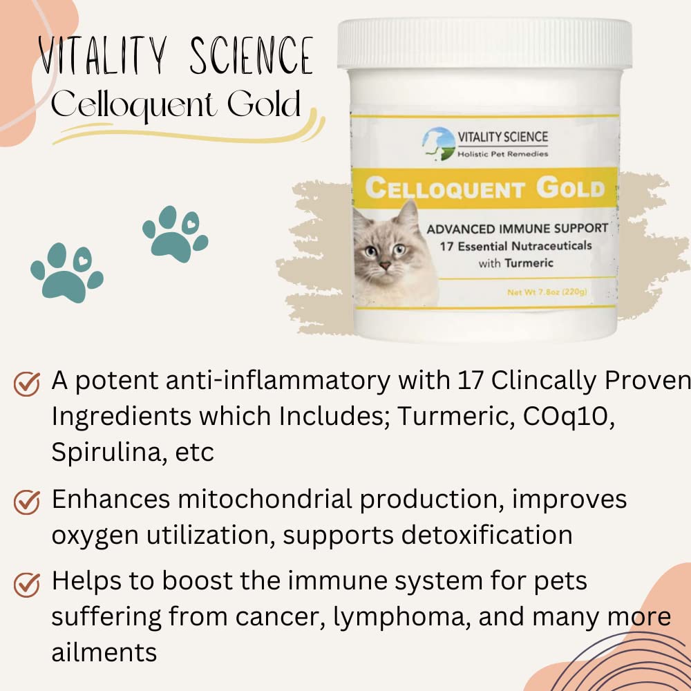 Premium Celloquent Gold Immune Support Supplement for Cats - 17 Synergistic Holistic Ingredients for Autoimmune, Digestive & Mood Health (220g) - Supports Vomiting, Diarrhea & Depression Relief - Ideal for Senior Cats & Feline Wellness Care