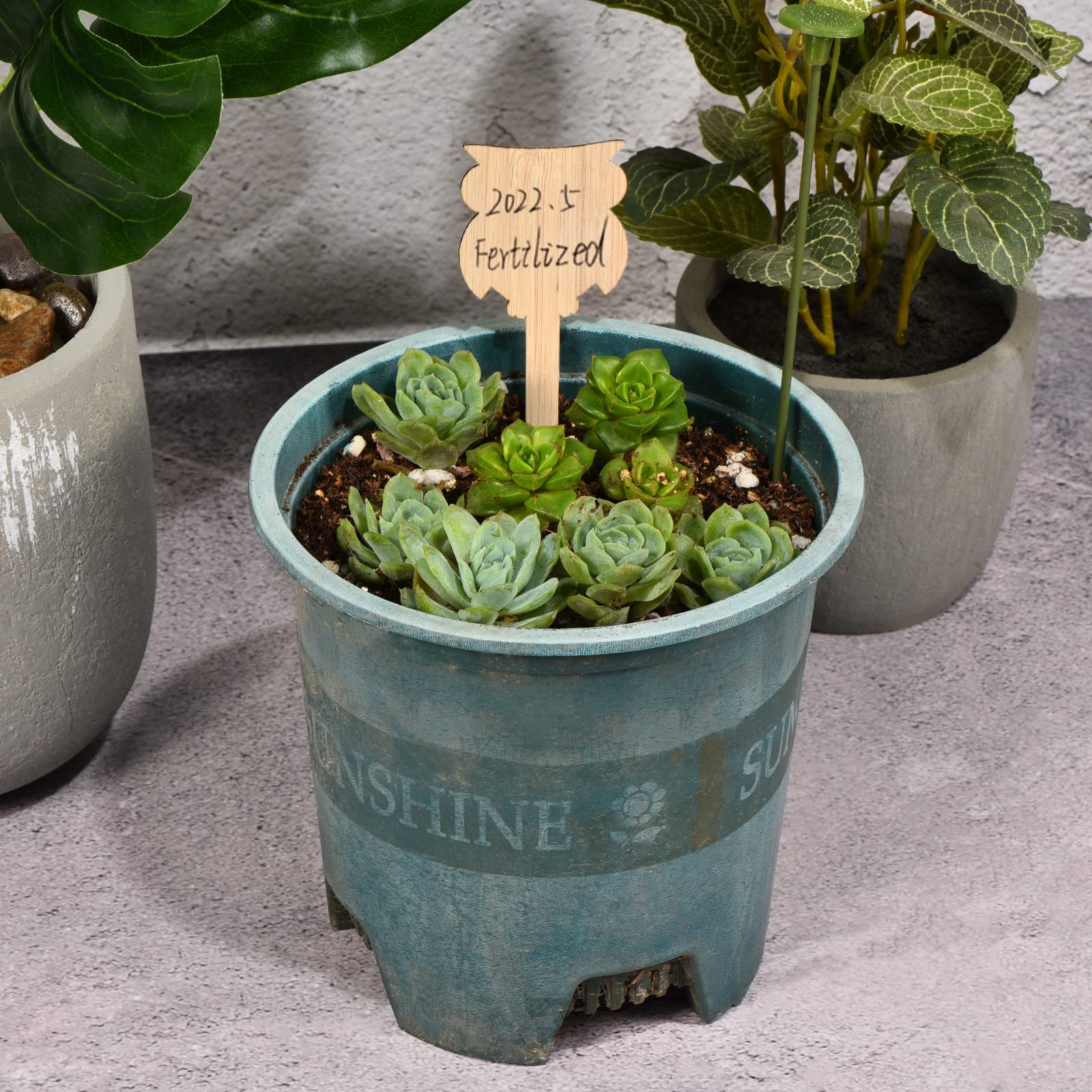 20Pcs Bamboo Animal Shaped Plant Labels - Waterproof Garden Markers for Indoor & Outdoor Plants - Perfect for Seedlings, Herbs, and Vegetable Gardening