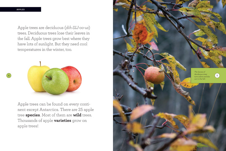 Apple 978-1-60818-404-0 - Perfect for Reading, Studying, and Research